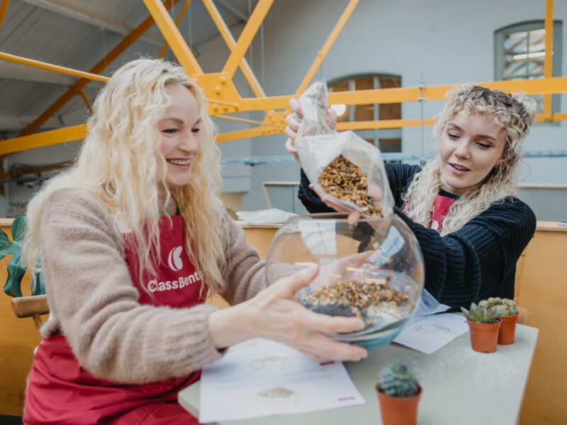 Two women making terrariums together